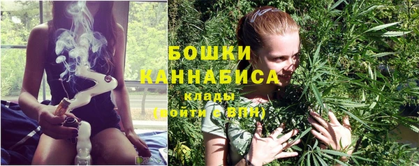 PSILOCYBIN Новочеркасск