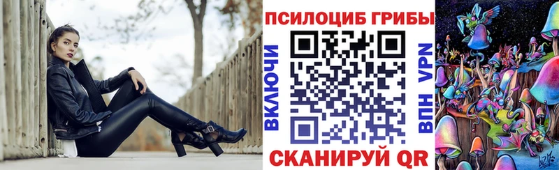 MEGA зеркало  магазин  наркотиков  Каргат  Псилоцибиновые грибы GOLDEN TEACHER 